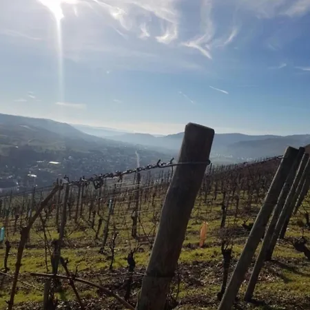 Vacation Moselsteg Appartement *