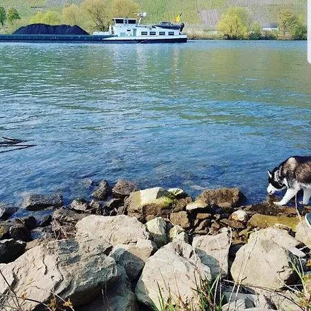 Appartement Vacation Moselsteg Brauneberg