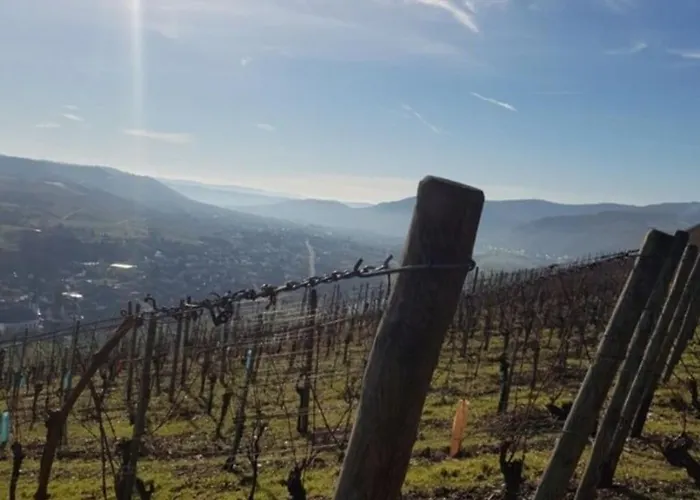 Vacation Moselsteg 公寓 *