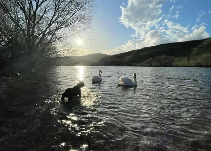 公寓 Vacation Moselsteg