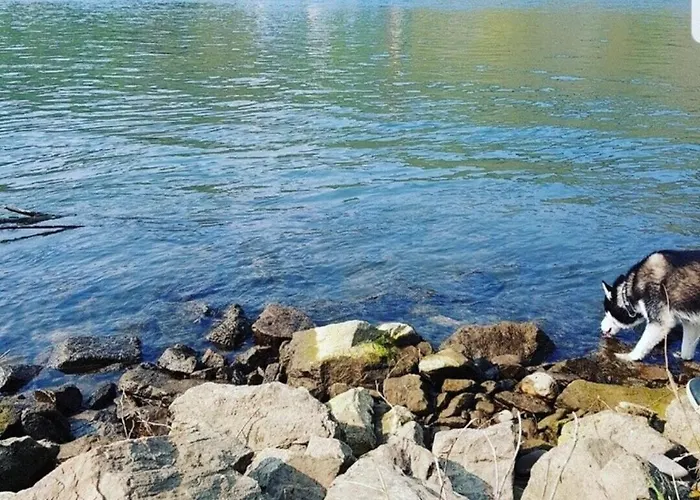 公寓 Vacation Moselsteg 布劳讷贝格