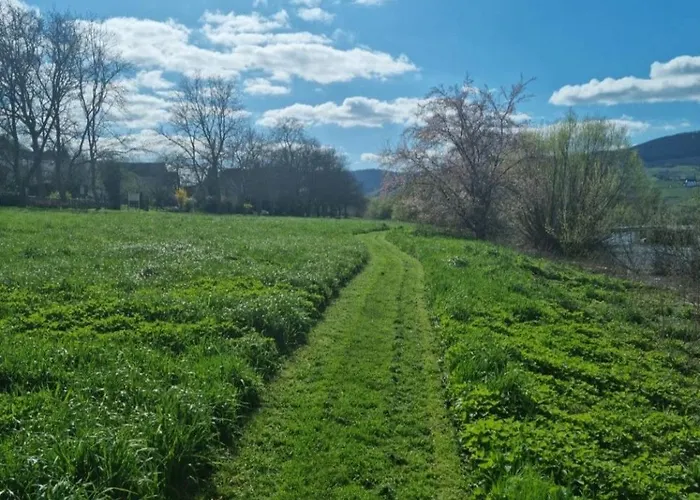 公寓 Vacation Moselsteg *