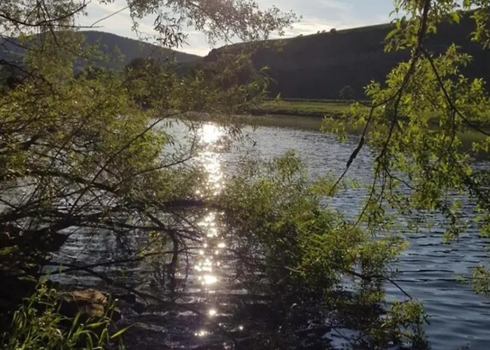 公寓 Vacation Moselsteg *