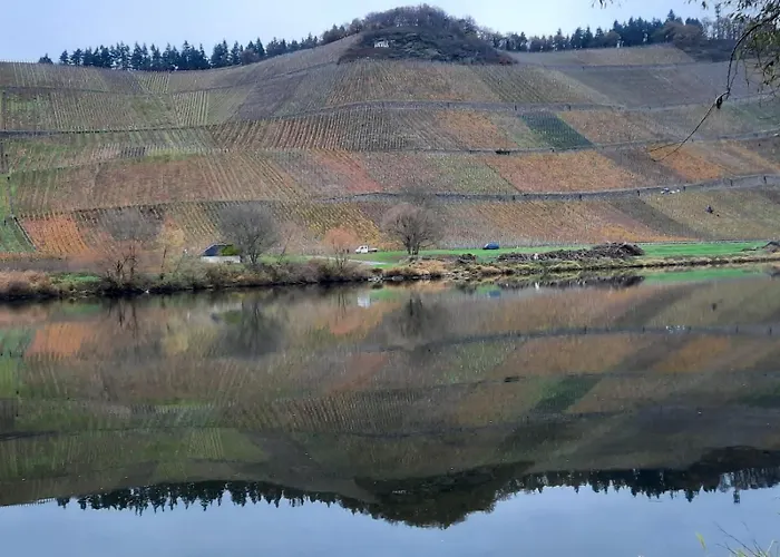 Vacation Moselsteg 布劳讷贝格